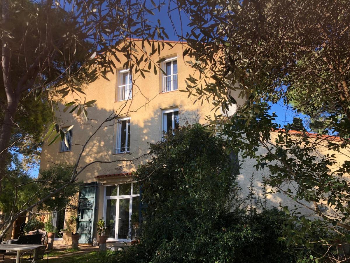 Duplex 130M2 Dans Un Mas Entoure De Vergers - Piscine Saint-Feliu-d'Avall Exterior photo